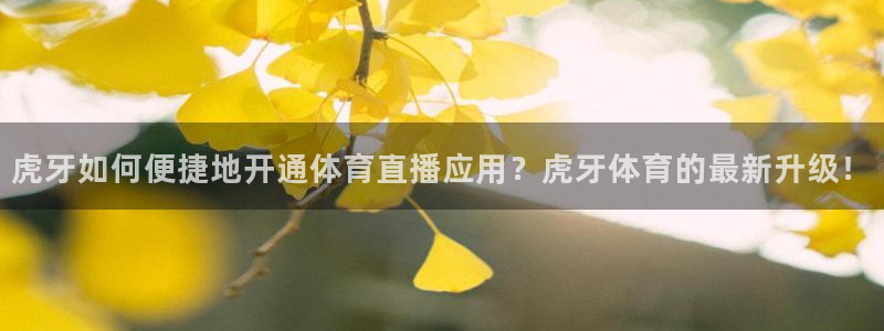 虎牙如何便捷地开通体育直播应用？虎牙体育的最新升级！