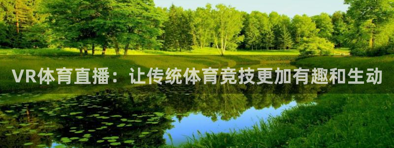 VR体育直播：让传统体育竞技更加有趣和生动