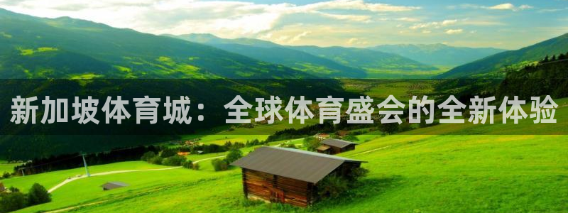 新加坡体育城：全球体育盛会的全新体验
