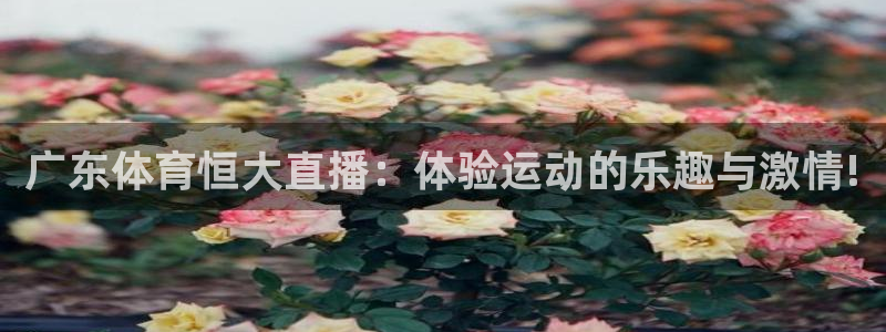 广东体育恒大直播：体验运动的乐趣与激情!